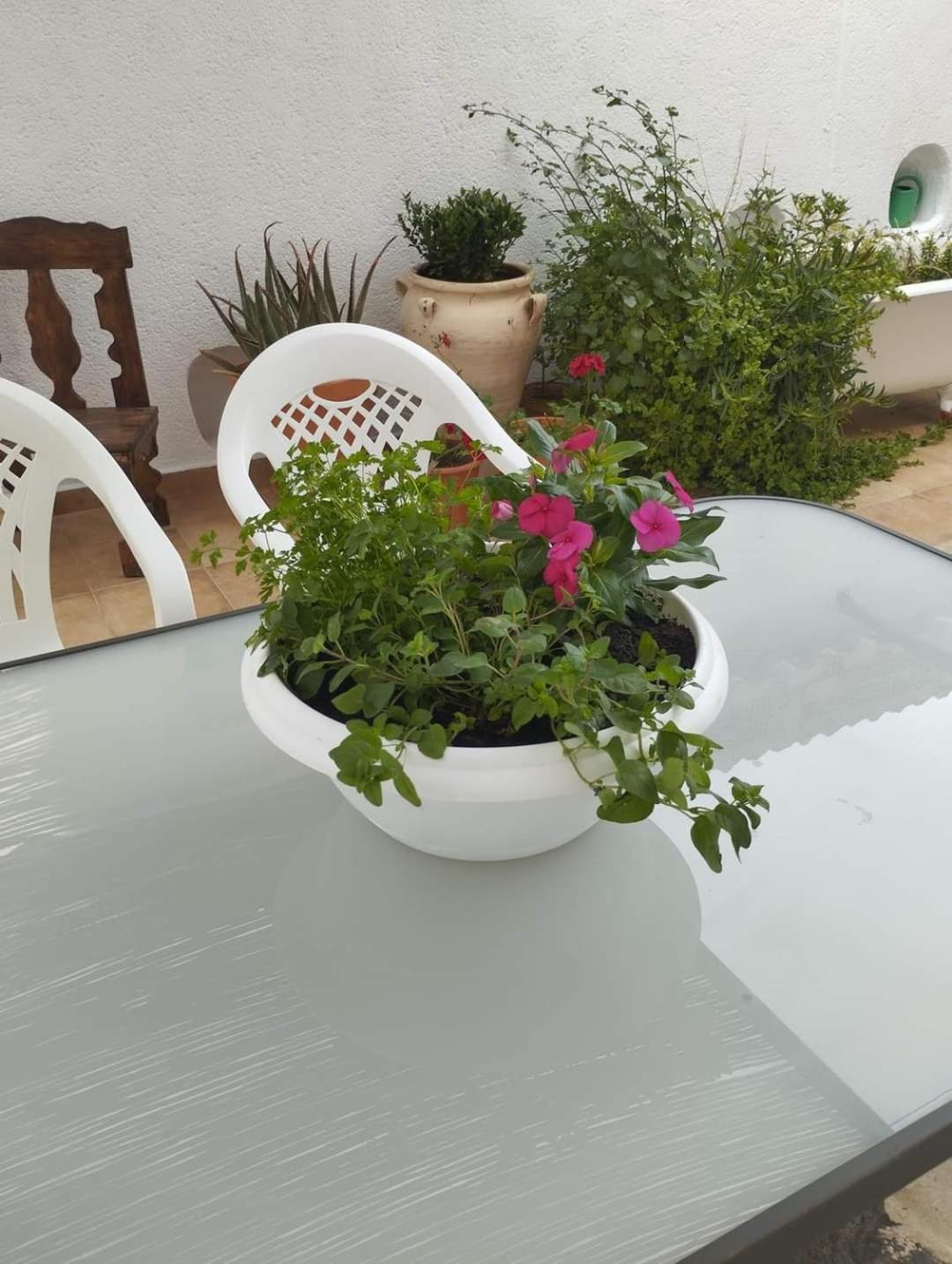 Casa Rural En San Carlos Del Valle- Dona Gumersinda Kültér fotó